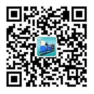 潍坊华东发动机有限公司（www.域名.com）
