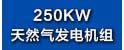 250KW沼气发电机组.jpg